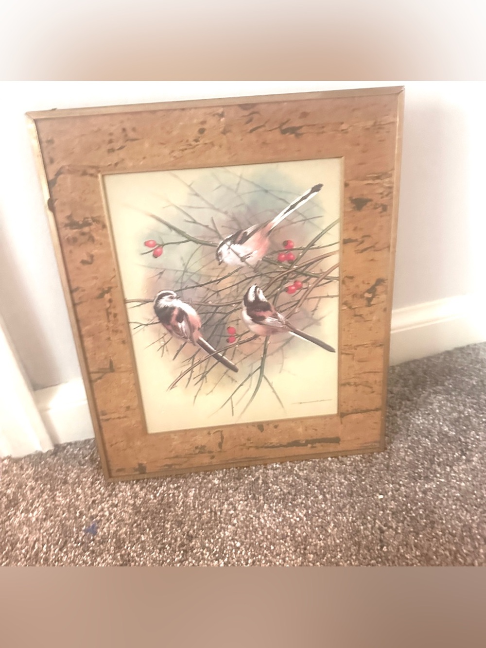 Vintage 11x13 framed bird book illustration with cork mat/gold frame